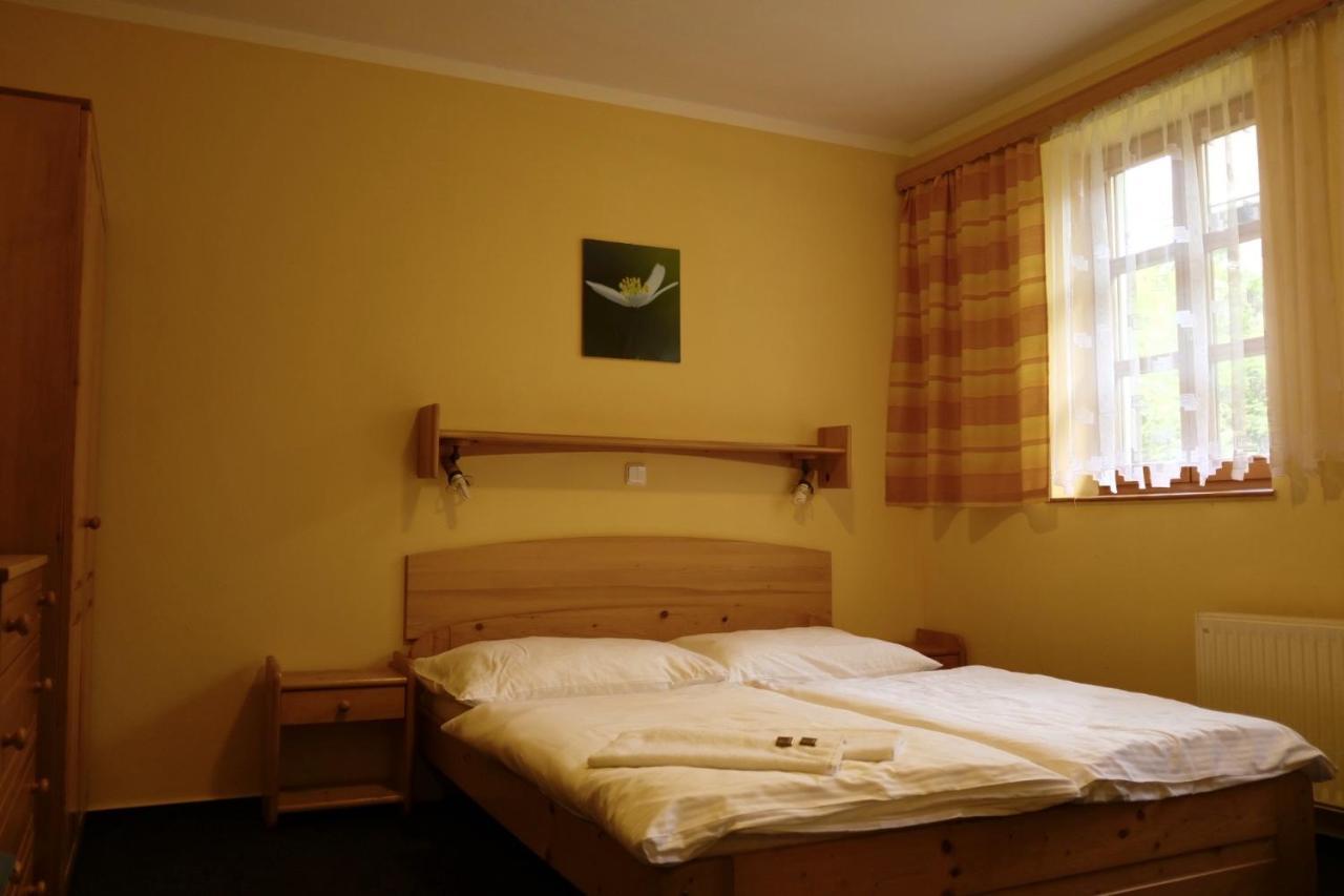 Penzion U Studeneho Potoka Nove Hute Exteriör bild