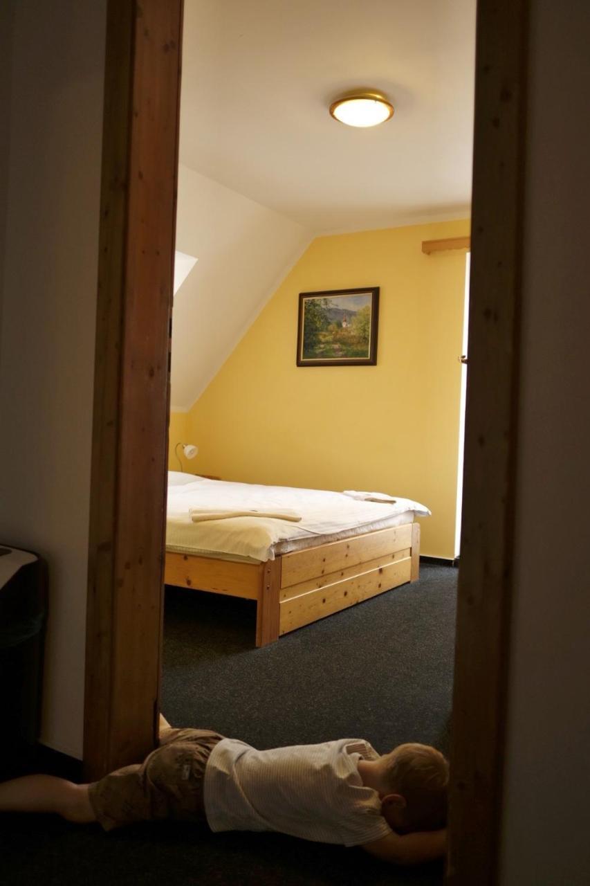 Penzion U Studeneho Potoka Nove Hute Exteriör bild